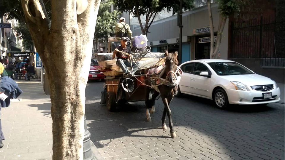 Los sonidos del DF